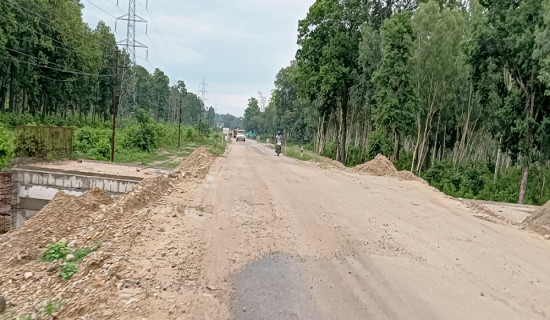 पूर्वपश्चिम लोकमार्गभित्रका ३१ हजार ५२९ वटा रुख काटिने