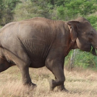 तप्राङ गाउँ