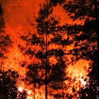 म्यानमारमा अत्यधिक गर्मी: सतर्कता अपनाउन स्वास्थ्य मन्त्रालयको आग्रह