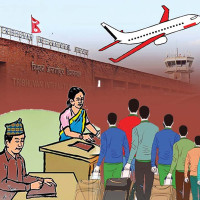 ‘ड्रागन फ्रुट बिक्री गर्न समस्या छैन’