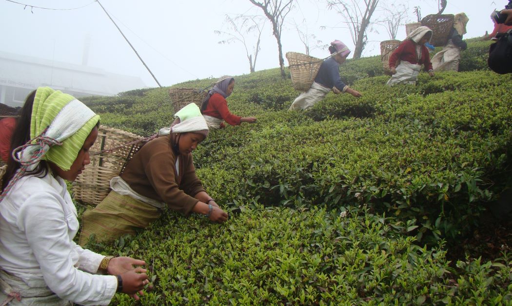 औपचारिक क्षेत्रमा कार्यरत श्रमिकको न्यूनतम पारिश्रमिकमा भएन सहमति