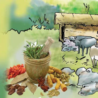 नेपाल र भारत आज भिड्दै