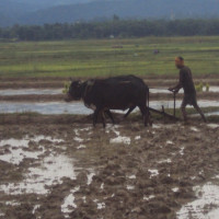 ‘टक बाइ हत्याकाण्ड’ मा थाइल्याण्डमा सात अधिकारीलाई मुद्दा चलाइने