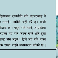 प्रियङ्कर प्रजातान्त्रिक पिँडालु पार्टी