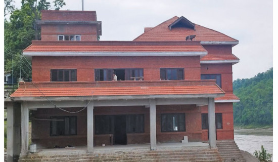 प्रियङ्कर प्रजातान्त्रिक पिँडालु पार्टी