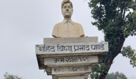 सुनवलमा शहीद विष्णु पाण्डे संग्रहालय निर्माण तीव्र