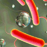 थारू हस्तकला प्रवर्धन गर्न बृजा ताल महोत्सव