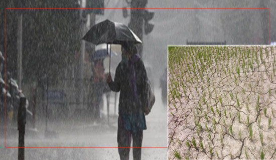 मधेसमा अझै खडेरी, सुदूरपश्चिममा सरदरभन्दा बढी वर्षा