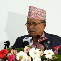 त्रिविको उपकुलपतिको जिम्मेवारी डा. केसीलाई