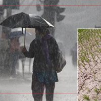 पाण्डौन सडक निर्माणमा ढिलासुस्ती