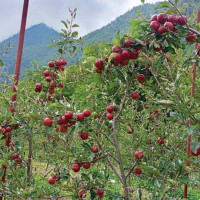 विकास परियोजनाको प्रभावकारी कार्यान्वयनमा अर्थमन्त्रीको जोड