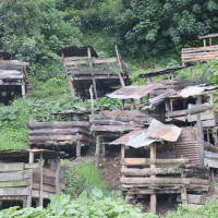 सबै सर्जकको आकर्षण मधुपर्क