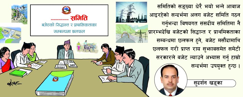 बजेटको सैद्धान्तिक मान्यता