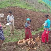 सबै सर्जकको आकर्षण मधुपर्क
