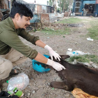 गाईघाट–दिक्तेल सडक कालोपत्रे
