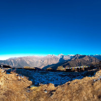 बन्दागोभीको व्यापार