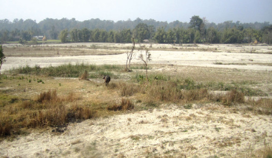बाढीको उच्च जोखिममा नौ पालिका
