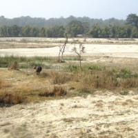 समानुपातिक मत संरक्षणमा दल