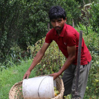 धौलागिरि हिमाल