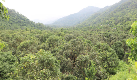 शान्ति प्रक्रियालाई पूर्णता दिन राष्ट्रिय सहमति जरुरी : देवप्रसाद गुरुङ