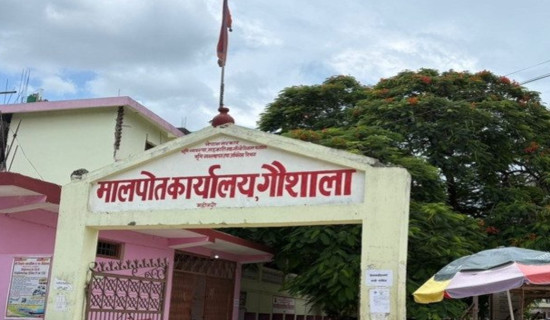कर्मचारीको मिलेमतोमा महोत्तरीमा मृतकको नाममा जग्गा किनबेच
