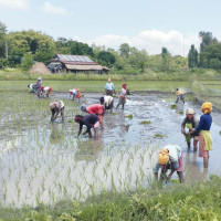 एआईको दुरुपयोग रोक्न आवश्यक  : मन्त्री पन्त