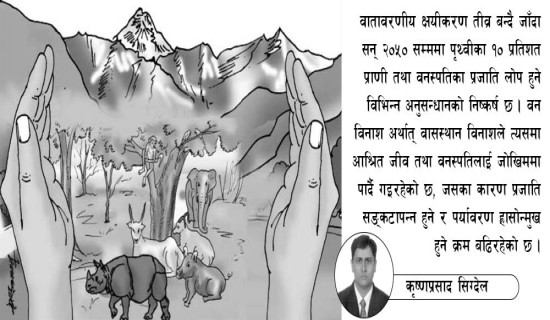 विचार, नीति र पार्टी