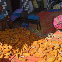 तनहुँको बेलभन्ज्याङमा मोटरसाइकल दुर्घटनामा दुई जनाको मृत्यु