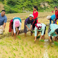 स्वास्थ्यप्रति सचेत बन्दै आमाहरु