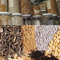 टिआरसी विधेयक सहमतिमै पारित हुन्छ : मन्त्री गिरी
