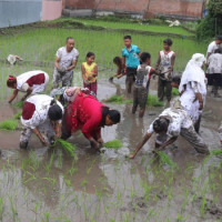 भन्सार छलीका लाखौँको सामान बरामद