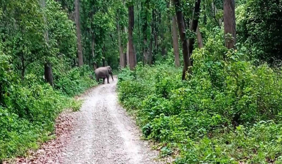 सदरमुकाममै खानेपानी समस्या