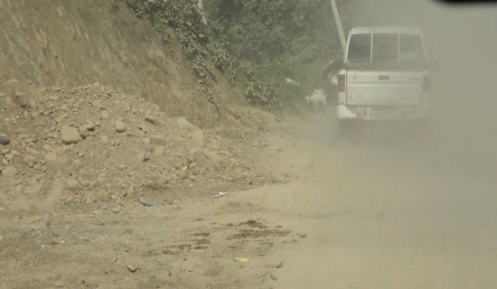 दाउन्नेमा यात्रुलाई सास्ती, व्यापारी निराश