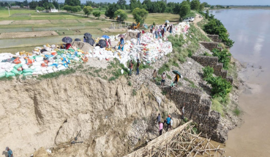 बाँकेमा बस्ती जोगाउन आपतकालीन तटबन्ध