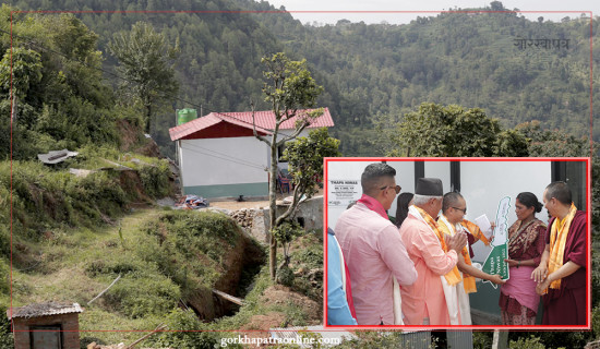 प्रविधिको उपयोगले मकै खेतीमा सुधार