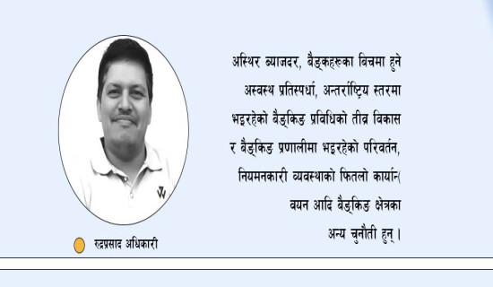 बैङ्किङ क्षेत्रका चुनौती