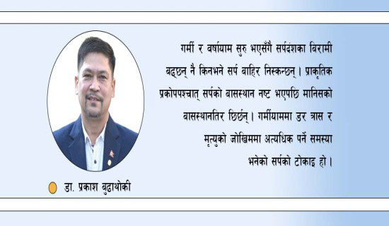 लापर्बाहीले सर्पको डसाइ