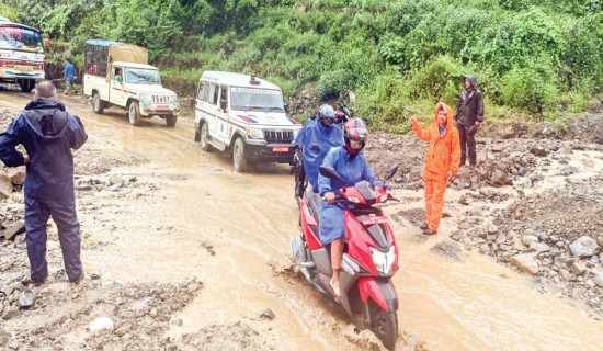 रुपन्देही –३ मा राप्रपाका दिपक बोहोरा विजयी