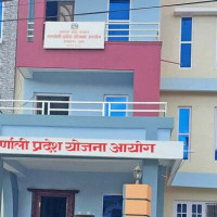 पिङबाट लडेर युवक घाइते
