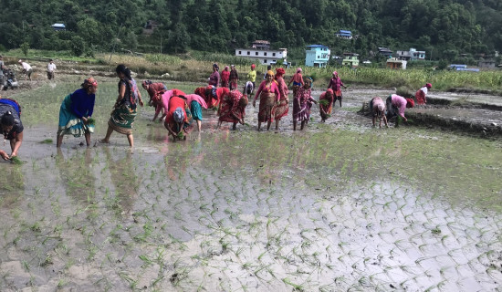 राष्ट्रपतिसँग कफी गफ