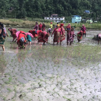 माटो बिग्रन नदिनका लागि कानुनी व्यवस्था छैन : कृषि विभागका महानिर्देशक