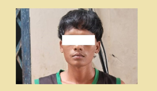 कञ्चनपुरमा विषालु च्याउ खाँदा एकै परिवारका पाँच जना बिरामी