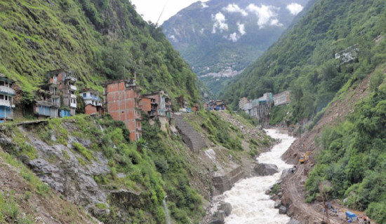 दीर्घकालीन समस्याको अल्पकालीन समाधान्