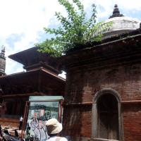 समावेशीकरणको दिशामा नयाँ फड्को : गोरखापत्रद्वारा प्रकाशित धिमाल भाषा