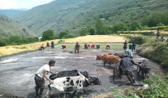 बोक्चे र भिगौँडाको सडक स्तरोन्नति