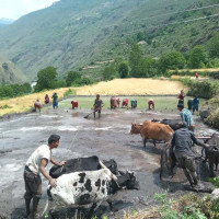 काठमाडौँ र कर्णालीलाई सबैभन्दा धेरै अनुदान