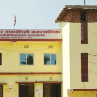 मोहम्मद आलमविरुद्धको मुद्दामा साक्षी बुझ्ने आदेश