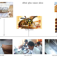 यातायात कार्यालय झापाद्वारा ९३ करोड राजस्व सङ्कलन