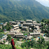 बेपत्ता महिलाको शव फेला