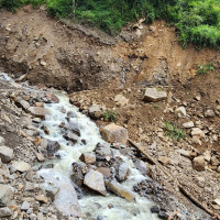 बेपत्ता महिलाको शव फेला